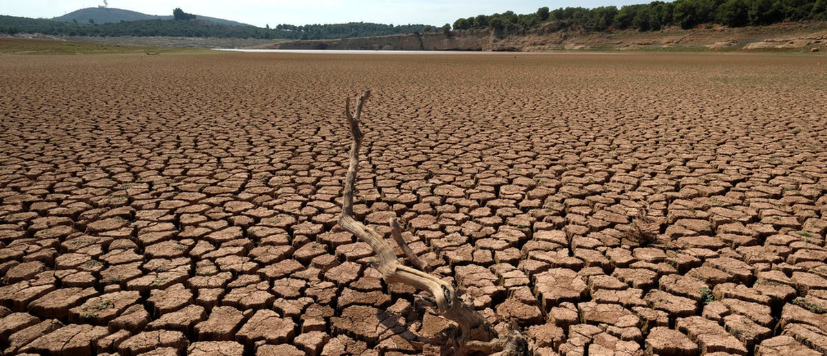 خبر نگران‌کننده وزیر نیرو درباره خشکسالی کشور