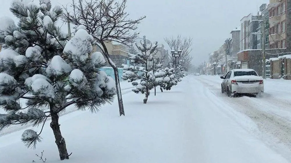 ویدئو/ روزهای خوبی که دیگر نیست؛ برف بازی در پارک لاله تهران