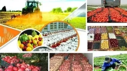 طراحی و تدوین نظام جامع آموزش کشاورزی و منابع طبیعی/ استفاده از ظرفیت آموزش عالی کشور در بخش کشاورزی