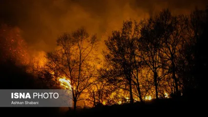 آتش سوزی گسترده در ۱۷ منطقه از لنگرود