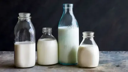کدام مفیدتر است؟ نوشیدن شیر گرم یا سرد؟