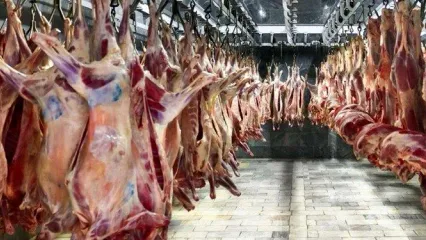 افزایش قیمت گوشت گوسفندی در این هفته | گوشت گوسفندی‌ در قصابی‌ها 470 هزار تومان‌