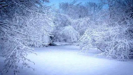 زیبایی های بارش برف در نیشابور + فیلم