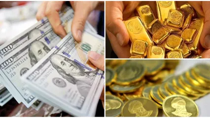نرخ ارز دلار سکه طلا یورو امروز یکشنبه ۱۳ خرداد 1403+جدول