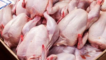 فیلم | آیا قیمت مرغ و گوشت ارزان می شود؟