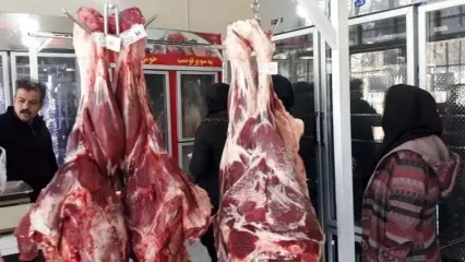 اعلام قیمت گوشت منجمد گوساله و گوسفندی وارداتی در بازار