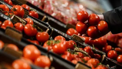 تغییرات فصلی، علت نوسانات قیمت گوجه‌‌ فرنگی/ ویدئو