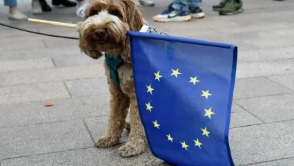 واق واق سگ در پارلمان اروپا/ ویدئو