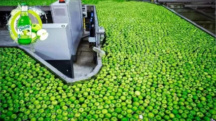 (ویدئو) ببینید کارخانه ها چگونه سیب، انبه و لیموترش را به آبمیوه تبدیل می کنند