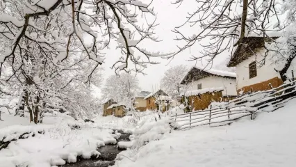 فیلم زیبای بارش برف در رودبار گیلان ! / ایران با برف زیبا شد !