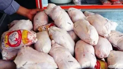 حمایت از تولید‌کنندگان داخلی با خرید بیش از ۱۵ هزار تن مرغ منجمد/ نگرانی در تامین، عرضه و توزیع مرغ در ماه رمضان و ایام عید وجود ندارد