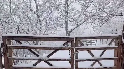 بارش شدید برف در اشکور رحیم اباد گیلان، روستای لرده + فیلم