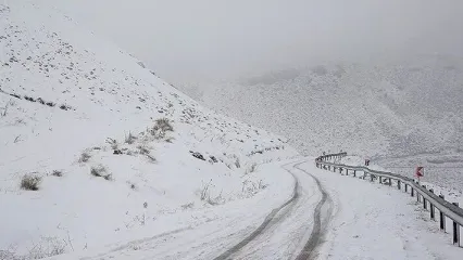 (ویدئو) برف مازندران را سفیدپوش کرد؛ حجم برف را ببینید
