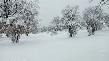 برف سنگین این منطقه از ایران را سفیدپوش کرد!