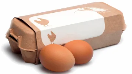 نرخ جدید تخم مرغ بسته بندی اعلام شد