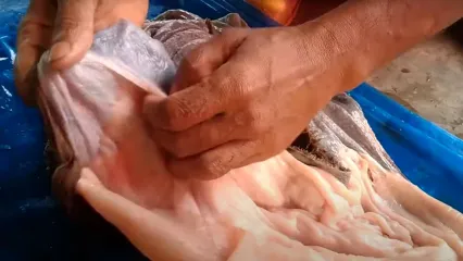 (ویدئو) مهارت شگفت انگیز قصاب بنگلادشی در پاک کردن سیرابی با دست خالی!