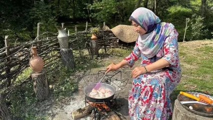 (ویدئو) پخت حیرت انگیز یک غذا با مرغ و انار توسط بانوی روستایی سوادکوهی