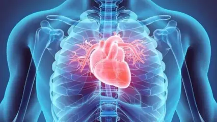 آنژیو قلبی چیست و علت آن را بدانید + فیلم