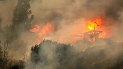 دست‌کم ۴۶ نفر در آتش‌سوزی‌های جنگلی در شیلی جان باختند