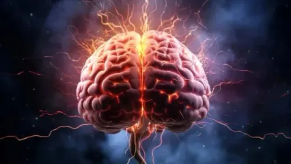 فیلم/ شگفت انگیزترین یافته در مورد مغز + ببینید و نگرانی های تان را کم کنید