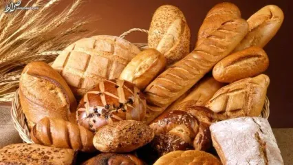 صادرات نان صنعتی ممنوع شد؟