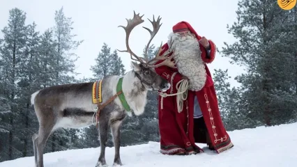(ویدئو) بابانوئل‌ها با گوزن‌هایشان در راه توزیع هدایای کریسمس