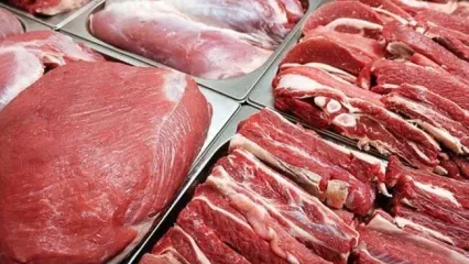 فروش گوشت کیلویی۷۰۰ هزار تومان سودجویی است/ مناسب بودن عرضه دام در بازار