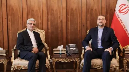 دیدار سفیر ایران در نیجر با حسین امیرعبداللهیان