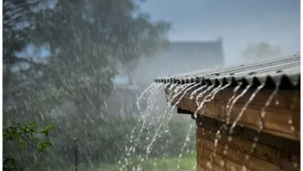 کاهش دما در نوار شمالی کشور