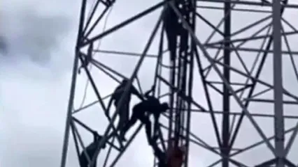 سقوط امدادگران از بالای دکل برق هنگام تلاش برای نجات یک مرد حین خودکشی/ ویدئو