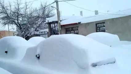 ویدئویی از بارش برف بهاری در تهران