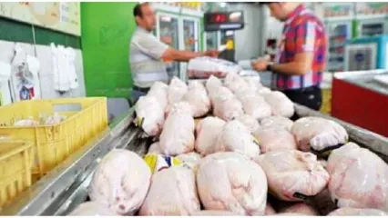 قیمت مرغ گران شد | قیمت مرغ گرم در بازار امروز کیلویی چند؟