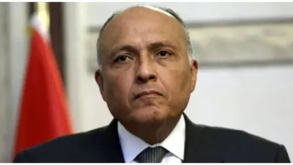 وزیر خارجه مصر راهی تهران شد