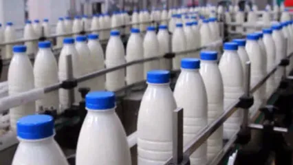بالاخره شیر را گرم بخوریم یا سرد: کدام مفیدتر است؟