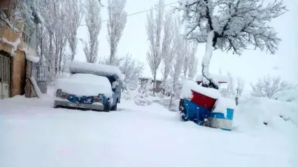 (ویدئو) این روستا زیر برف بهاری یخ زد