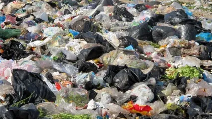 پشت پرده ماجرای کشف زباله در بجنورد/ میلیاردری که از تنهایی به زباله پناه برد+ فیلم