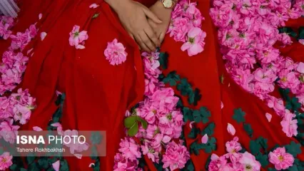 تصاویر جذاب از چند دختر شیرازی که به دل می‌نشیند