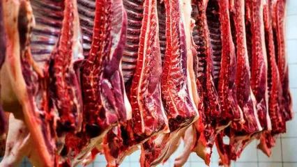 شرط کاهش قیمت گوشت اعلام شد / دام زنده چند؟