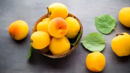 با مصرف روزانه این میوه با یبوست خداحافظی کنید!