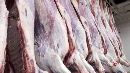 آخرین قیمت گوشت و دام زنده اعلام شد