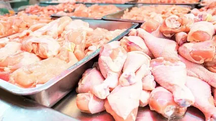 فوری / قیمت مرغ اعلام شد / وضعیت جدید تولید مرغ در کشور