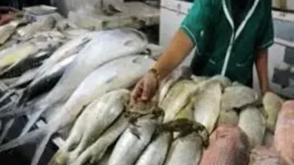 قیمت انواع ماهی ۲۹ اردیبهشت ۱۴۰۳+ جدول