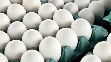 خبر فوری درباره قیمت تخم مرغ در بازار امروز | هر کیلو تخم مرغ چند است؟