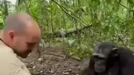 تقاضای کمک شامپانزه از عکاس برای آب خوردن