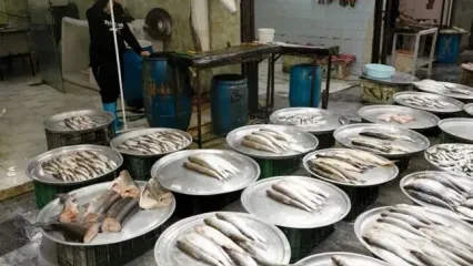 قیمت انواع ماهی ۳۰ اردیبهشت ۱۴۰۳+ جدول