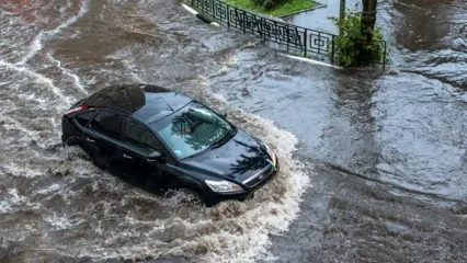 واکنش سرپرست مدیریت بحران مشهد به ورود خودروها به سیلاب+فیلم
