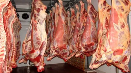 اعلام آخرین قیمت دام سبک ​/ تداوم غلبه واردات بر تولید گوشت گوسفندی