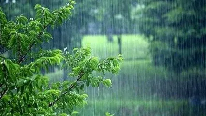 آخر هفته، باران مهمان این استان‌های خوش‌شانس خواهد بود