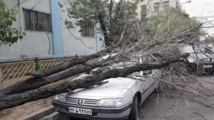 تندباد لحظه‌ای در اصفهان حادثه ساز شد | سقوط ۵۴ درخت و خسارت به ۱۶ خودرو