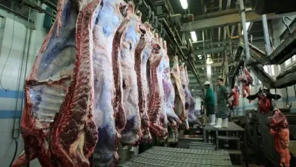 قیمت گوشت ارزان می شود؟